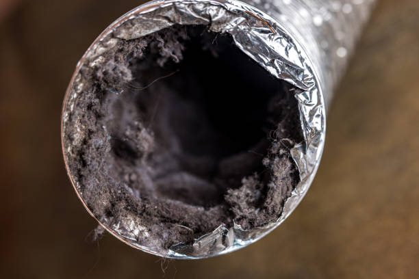 Best Best Air Duct Cleaning Company  in Beacon Square, FL