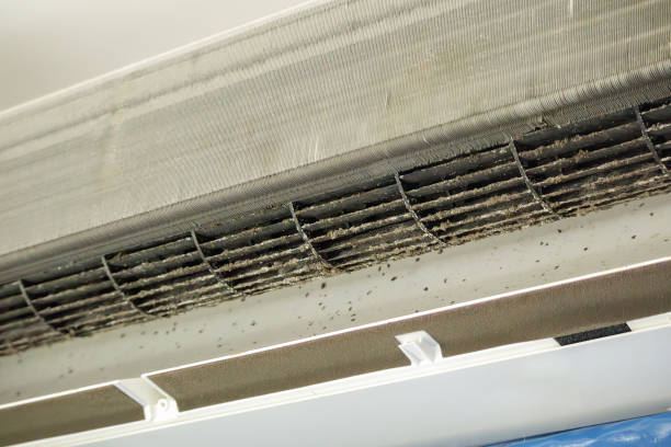 Best Air Duct Cleaning Near Me  in Beacon Square, FL